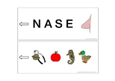 Nase.pdf